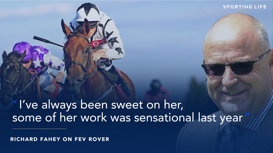 Richard Fahey on Fev Rover
