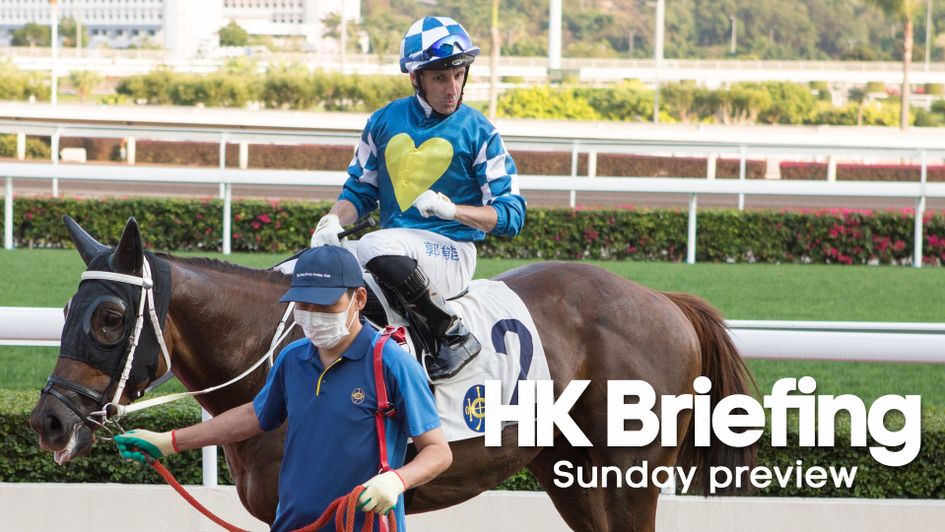 Don't miss all the key snippets ahead of Sunday's Hong Kong racing