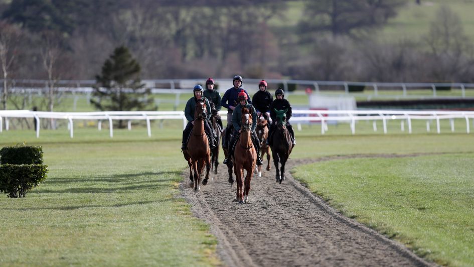 Horses from Willie Mullins stables on the gallops at Cheltenham Racecourse