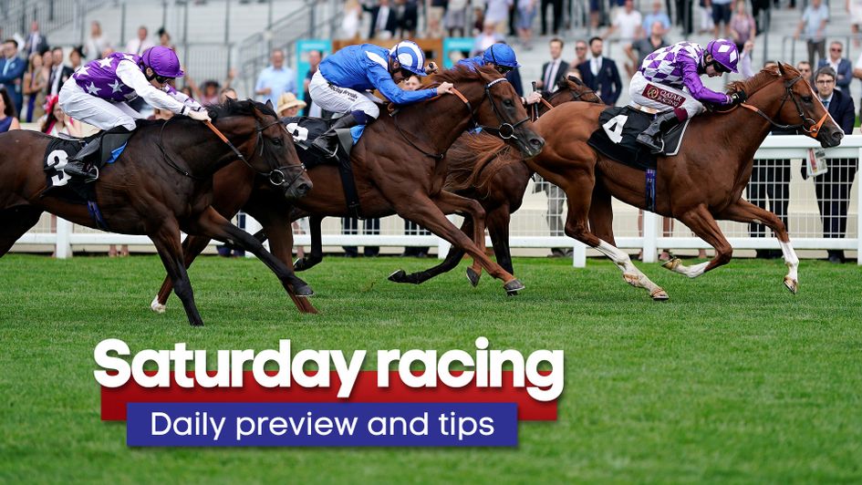 Check out the latest daily racing preview