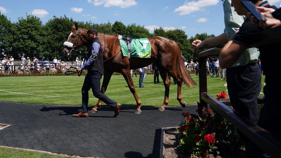 A glorious day at Newmarket