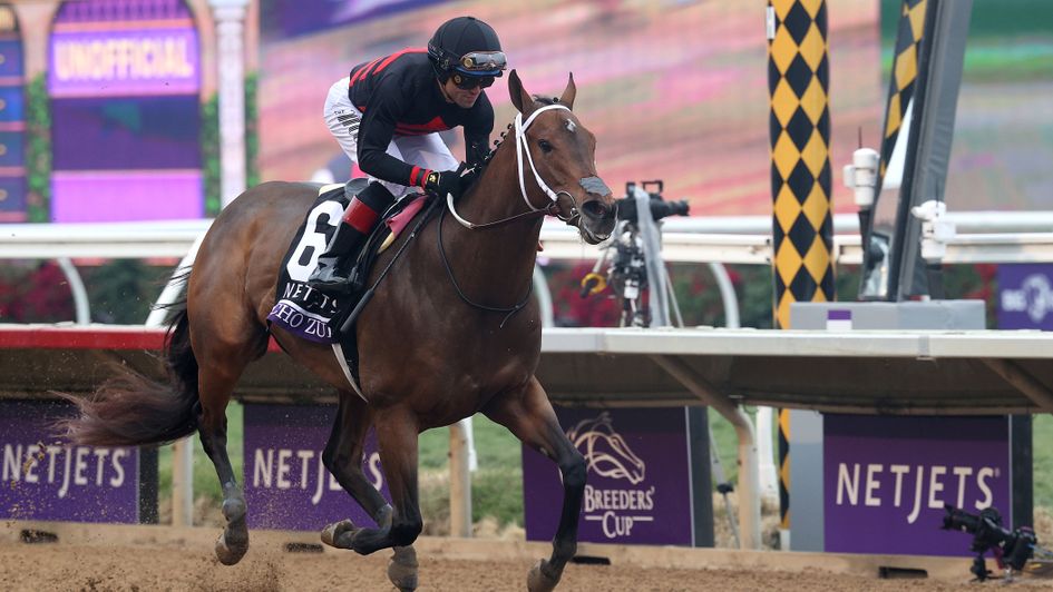 Echo Zulu coasting home in the Breeders' Cup Juvenile Fillies