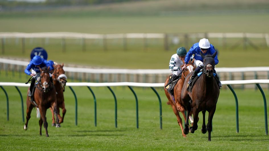 Talk Of New York quickens clear