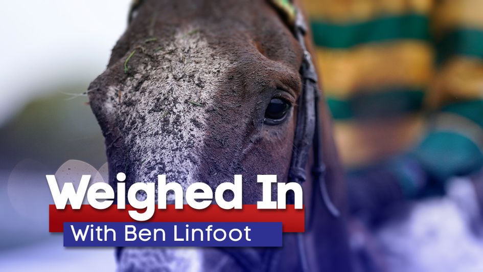Find out which horses have caught Ben's eye this week