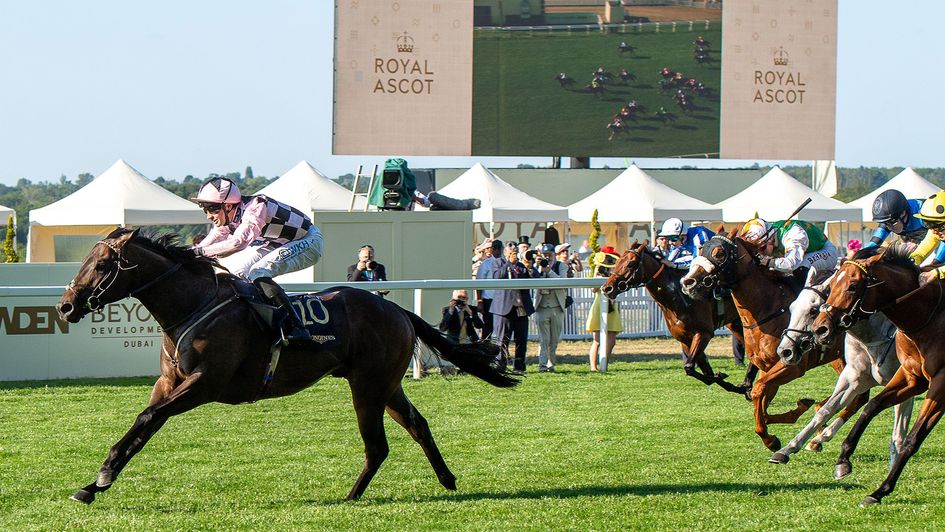 Havana Hurricane won the Windsor Castle, with Azizam back in third