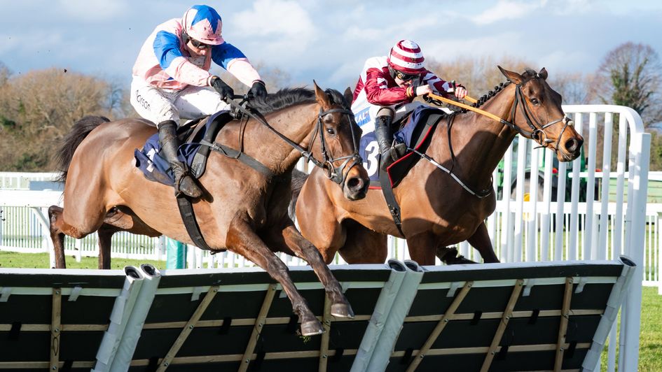 Moneygarrow jumps past They Call Me Hugo