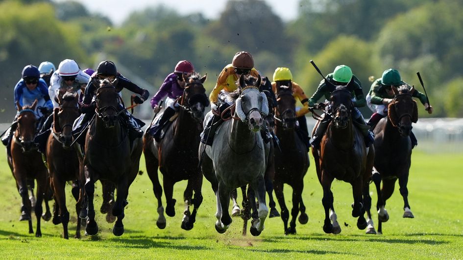Rocking Ends (grey) won a strong-looking handicap at Windsor