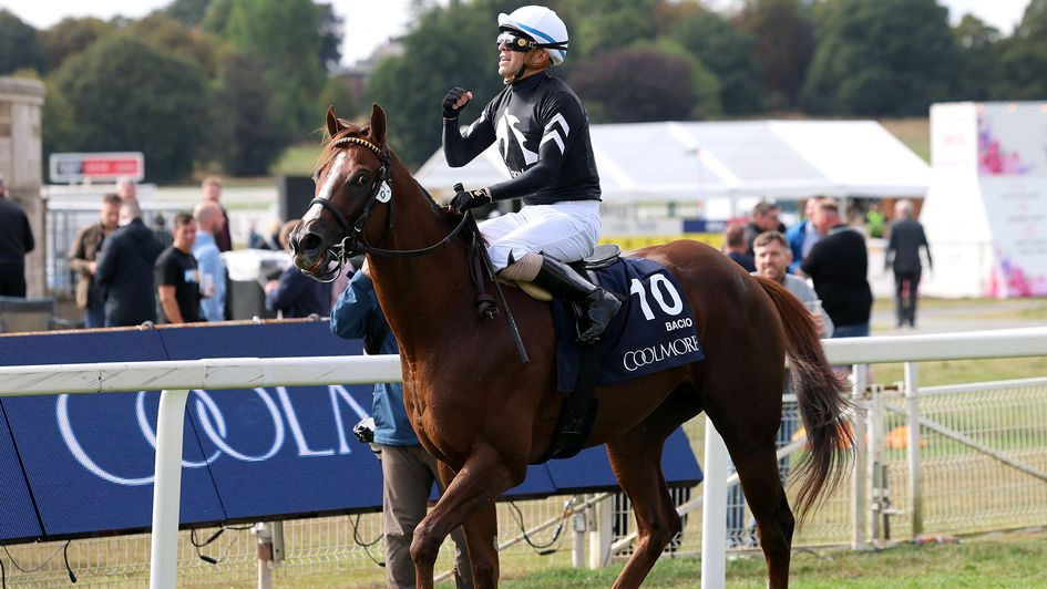 Juan Hernandez celebrates Bacio's Nunthorpe win
