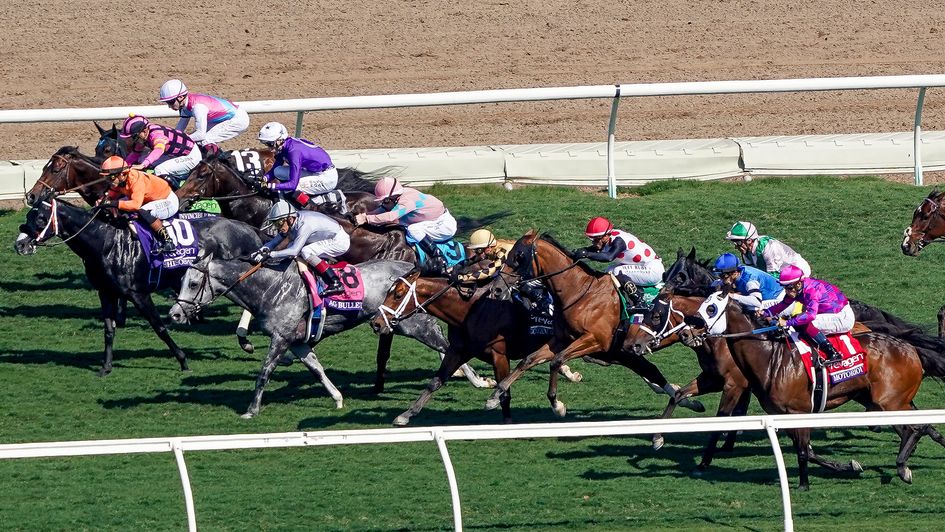 Action from the Breeders' Cup Turf Sprint
