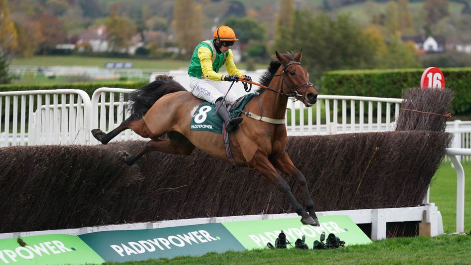 Midnight Shadow wins at Cheltenham