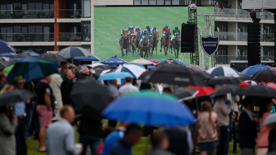 Racegoers watch the action on the big screen at Newbury