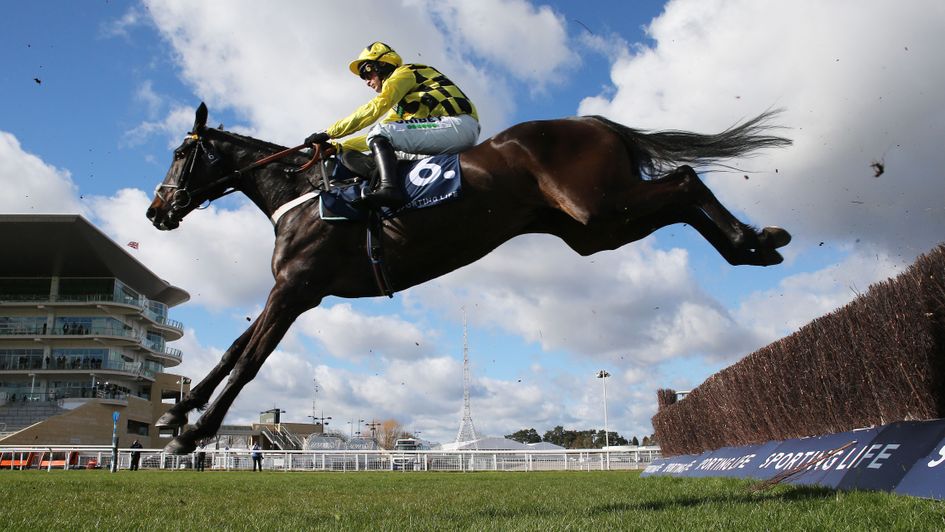 Shishkin is brilliant in the Sporting Life Arkle