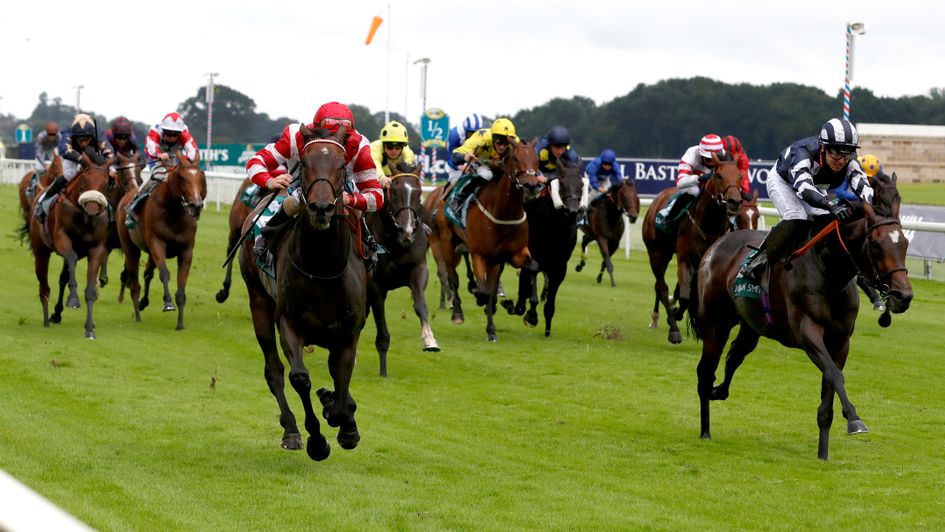 Sinjaari gets to Certain Lad in the John Smith's Cup