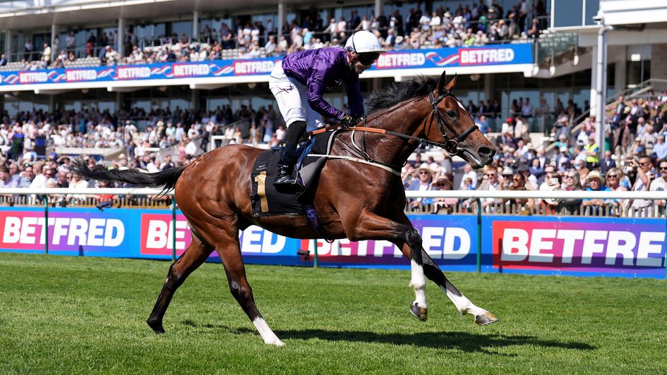 Ancient Egypt, ridden by Rowan Scott