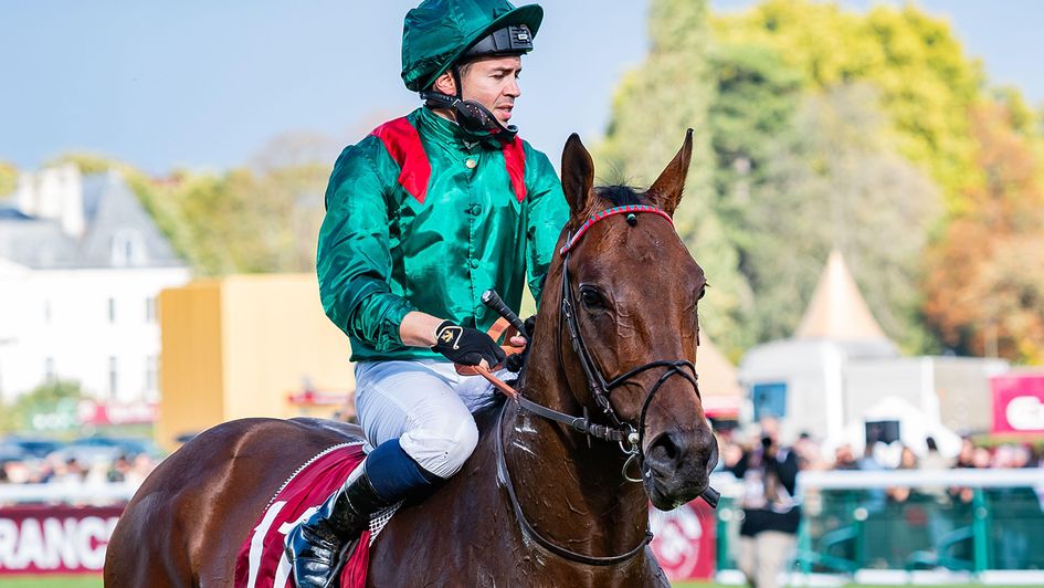 Daryz is back in action on Thursday evening