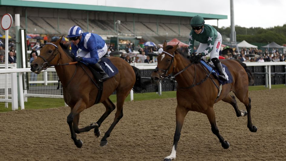 Al Husn wears down Nashwa at Newcastle