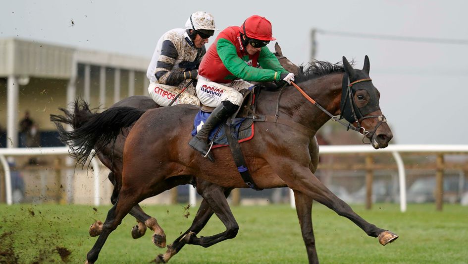 Grand Sancy - one of big Saturday hopes