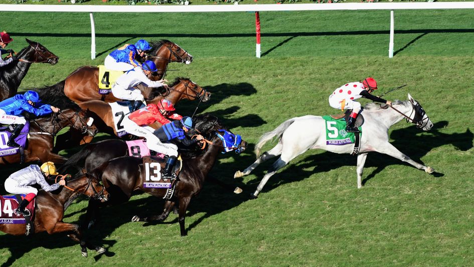 World Approval is a class apart in the Breeders' Cup Mile