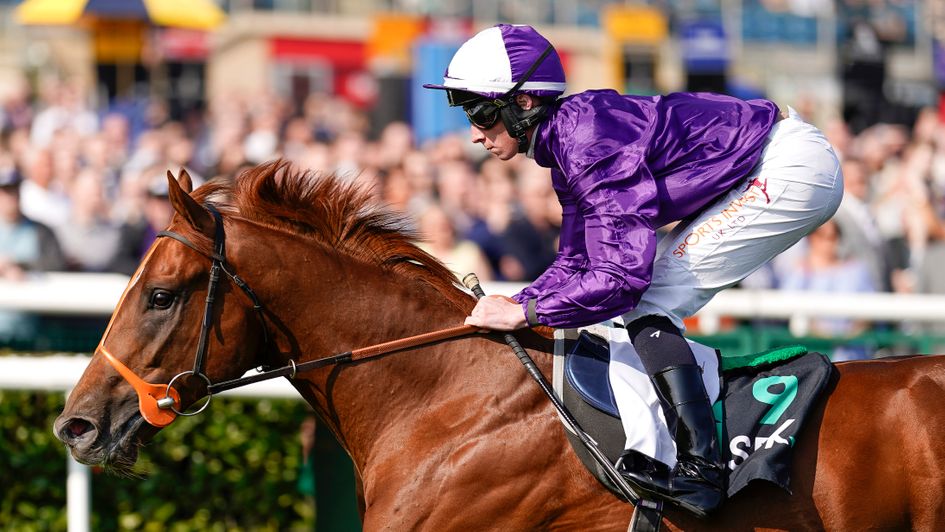 Persian Force really took the eye on Town Moor