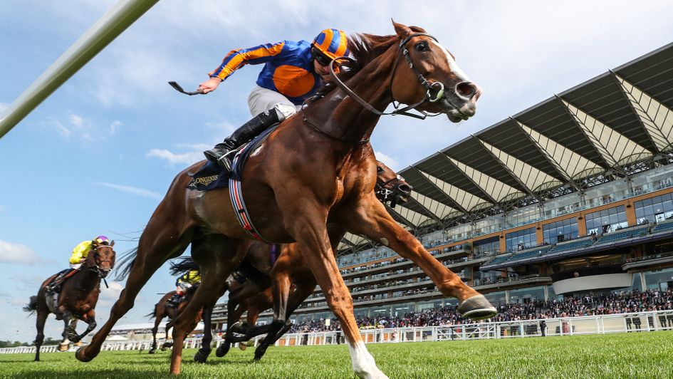 Is Love the one to beat this Saturday?