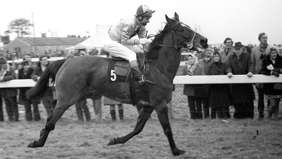 King George winner Captain Christy