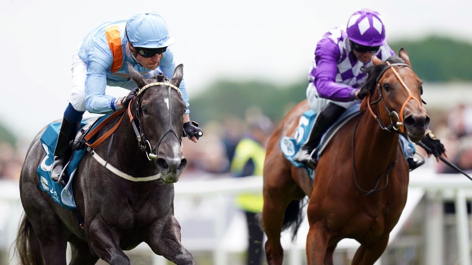 Got To Love A Grey wins at York