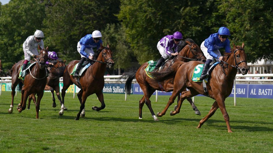 Saba Desert wins the Superlative