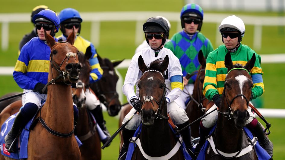 Will Constitution Hill deliver again for Blue Bresil?