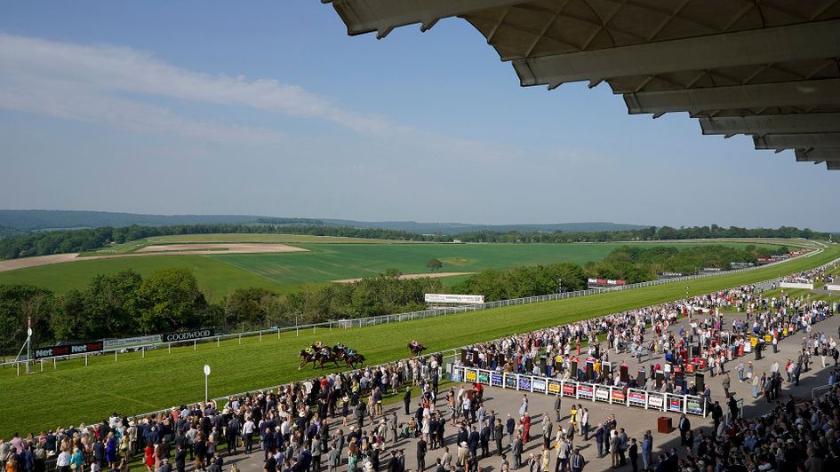 The scene from Glorious Goodwood
