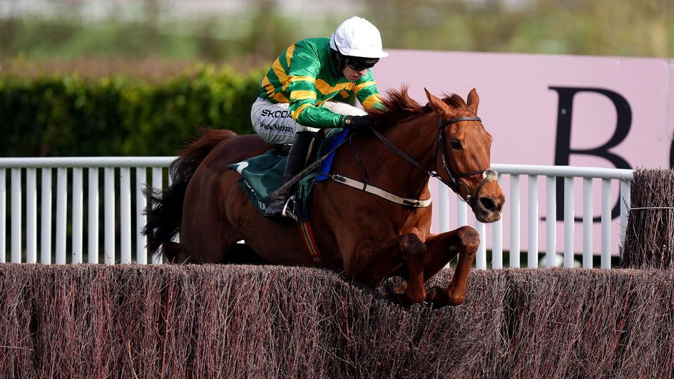 Dinoblue clears the last to score in the 2026 Mares' Chase at Cheltenham