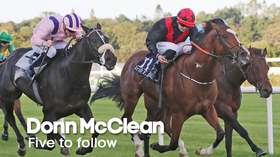 Donn nominates his five horses to keep on side