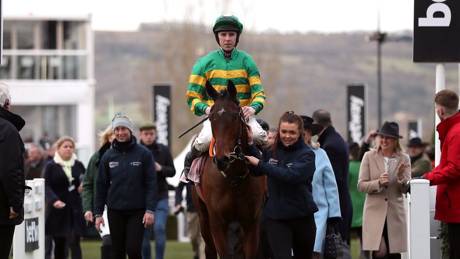 Cheltenham Festival winner Aramax