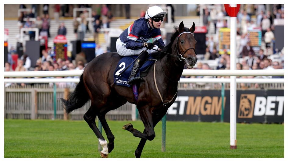 Night In Vegas wins at Newmarket