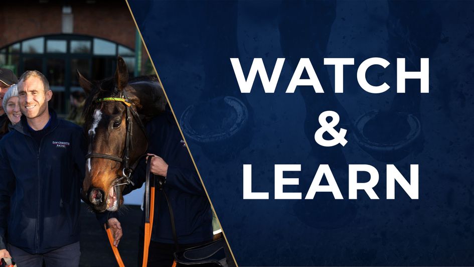 Ferns Lock after his win (image via Fairyhouse Racecourse - @Fairyhouse)