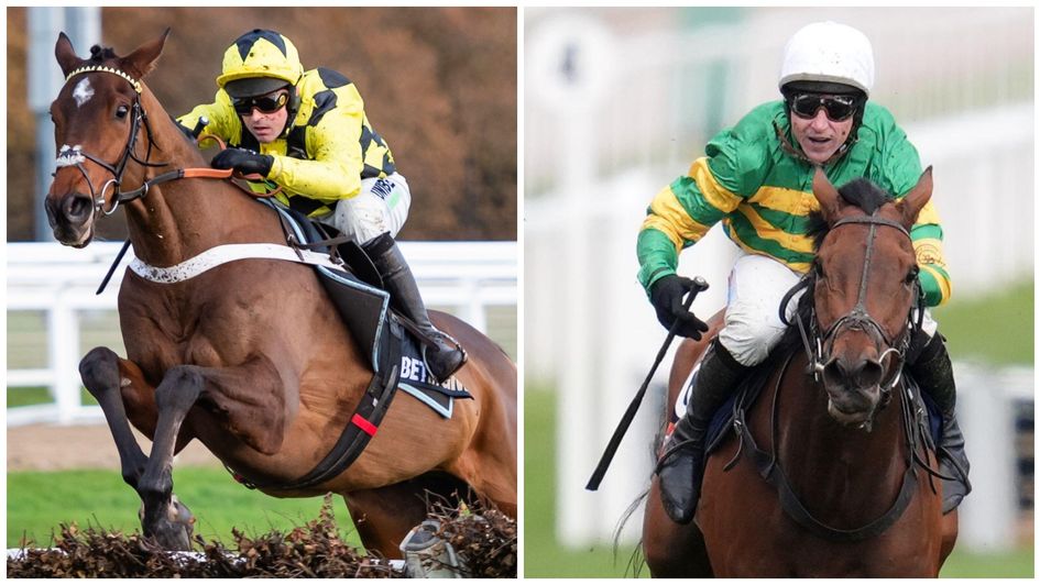 Sir Gino and The New Lion - set to clash