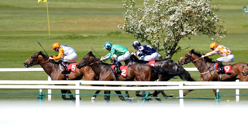 Black Star Boy scorches to victory at Sandown