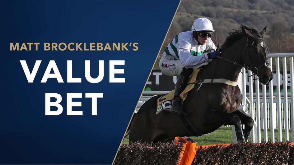 Botox Has should relish a return to hurdling at Cheltenham