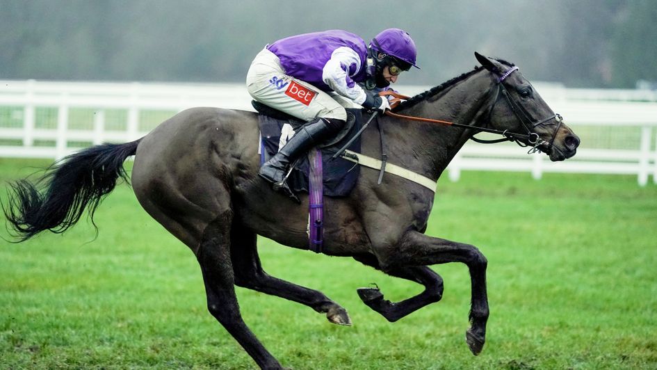 Fine Casting wins at Newbury