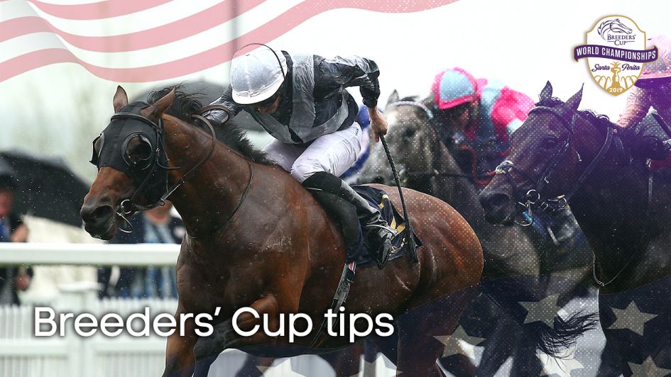 Circus Maximus is fancied in the Mile