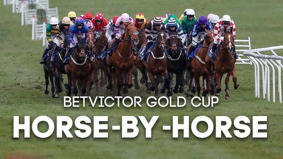 Dave Ord runs through every horse in the BetVictor Gold Cup