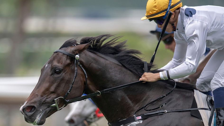 Golden Sixty won another Hong Kong Mile