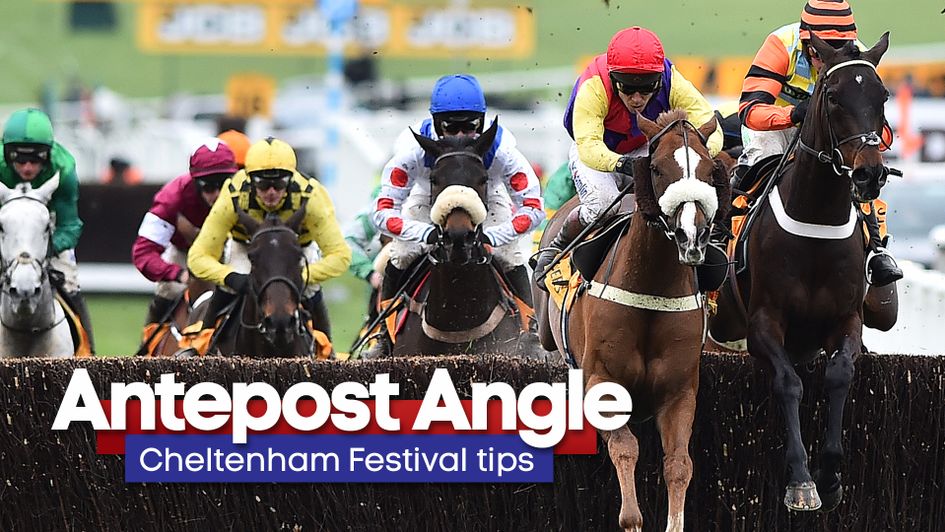 Native River in Gold Cup action