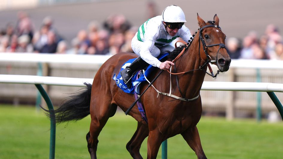 Francophone wins under Joe Fanning