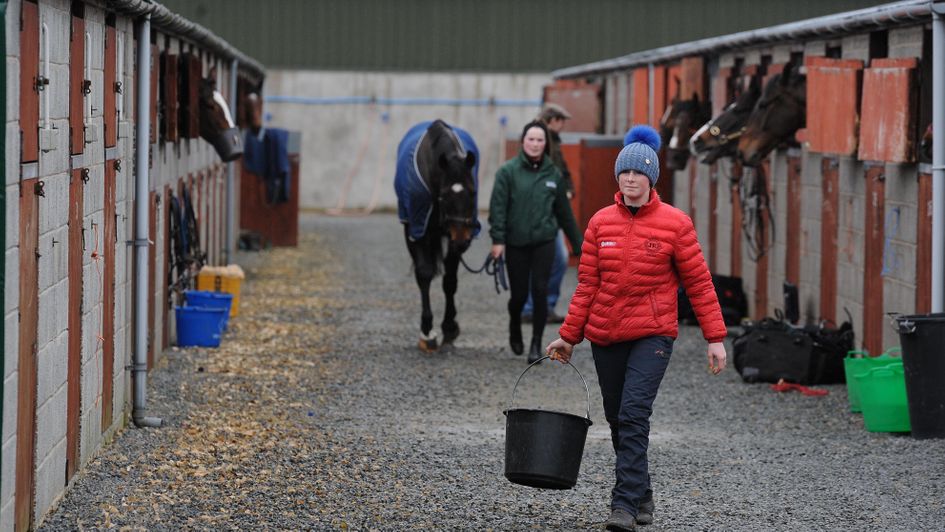 Stable Staff - crucial to the industry