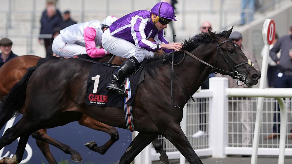 Albert Einstein ridden by Ryan Moore