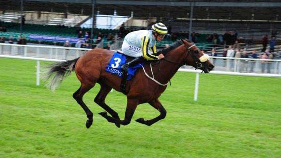 Irishcorrespondent wins his conditions race at the Curragh