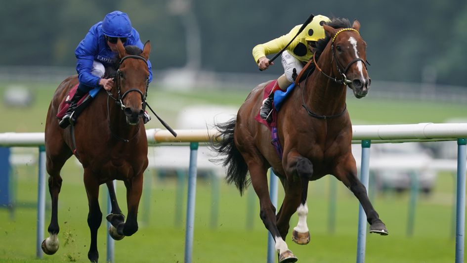 Haydock Saturday Review Triple Time Wins Opener