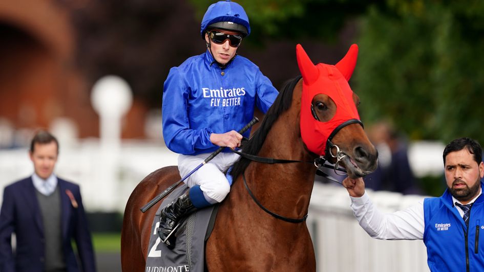 Flying Honours - can bounce back