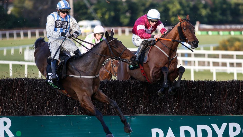 Killultagh Vic (left) makes a mistake at the last