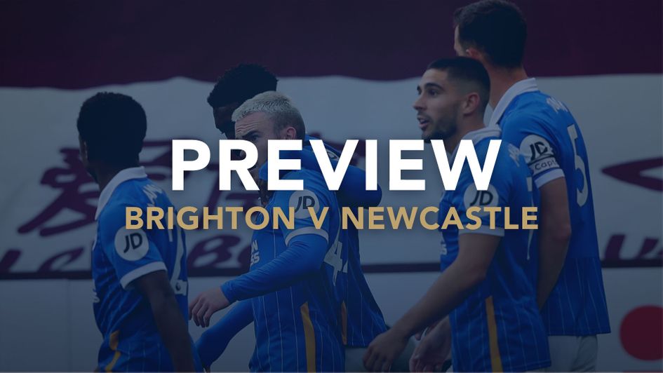 Our match preview of Brighton v Newcastle with best bets